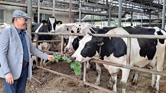 경기도 남양주에서 젖소 99마리를 키우는 이정호 순흥목장 대표. 그는 북한에든 네팔에든 낙농 지원을 해주려면 젖소가 현지에 안착할 때까지 피드백을 잘 해주는 것이 매우 중요하다고 강조했다. 장세정 기자