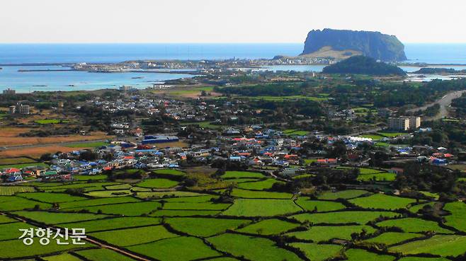 제주올레 1코스. 사단법인 제주올레 제공