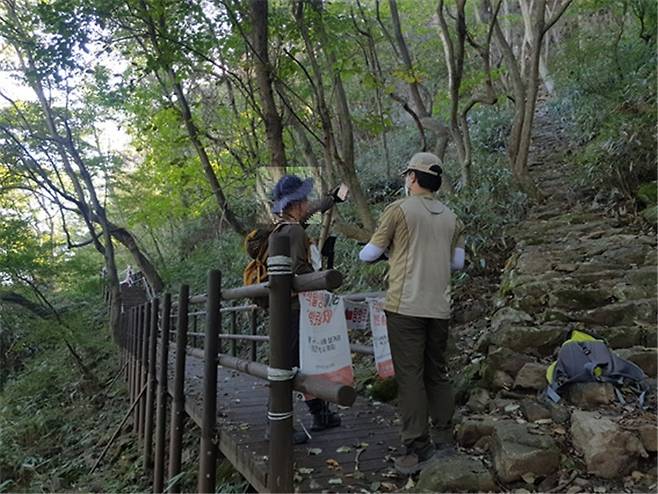 내장산국립공원 내 출입금지 구역을 출입하다 적발된 탐방객. *재판매 및 DB 금지