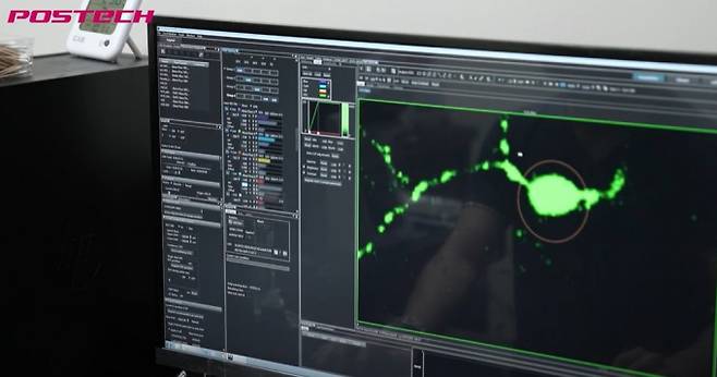 박상기 포스텍 생명과학과 교수가 이끄는 분자 정신의학연구실은 분자에서 행동까지 이르는 정신질환의 다양한 발생 양상을 탐구하기 위해 유전자 연구와 신경세포 분석, 동물 조직, 동물행동실험까지 이뤄지는 연구체계를 구축했다.