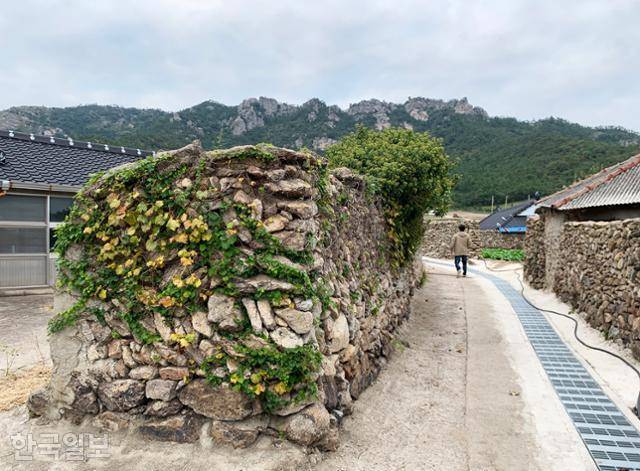 소담스러운 비금도 내촌마을 돌담길 뒤로 우람한 선왕산 바위 능선이 보인다.