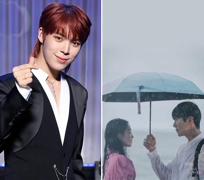 그룹 베리베리 연호, tvN '갯마을 차차차' 배경화면/사진=머니투데이 DB, '갯마을 차차차' 공식 홈페이지