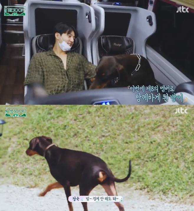 그룹 방탄소년단(BTS) 정국과 그의 반려견 밤이/사진=JTBC '인더숲 BTS'