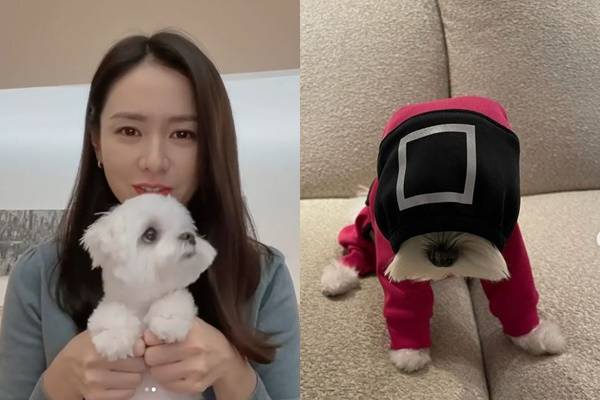 배우 손예진도 '오징어 게임'에 빠졌다. /사진=손예진 인스타그램