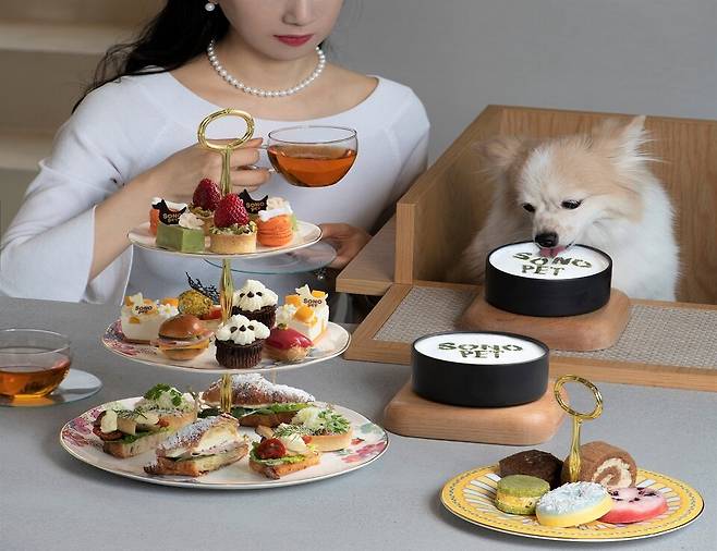 펫프터눈티 [대명소노그룹 제공]