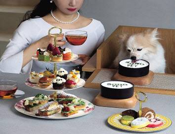 펫프터눈티 [대명소노그룹 제공]