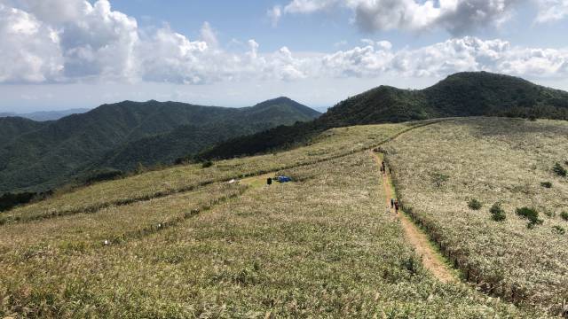 ▲동대봉산 무장봉(일명 무장산) 억새 군락지ⓒ경주국립공원사무소 제공