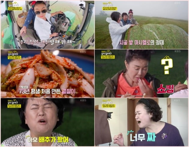 사진=KBS 2TV ‘박원숙의 같이 삽시다 시즌3’ 방송 화면 캡처