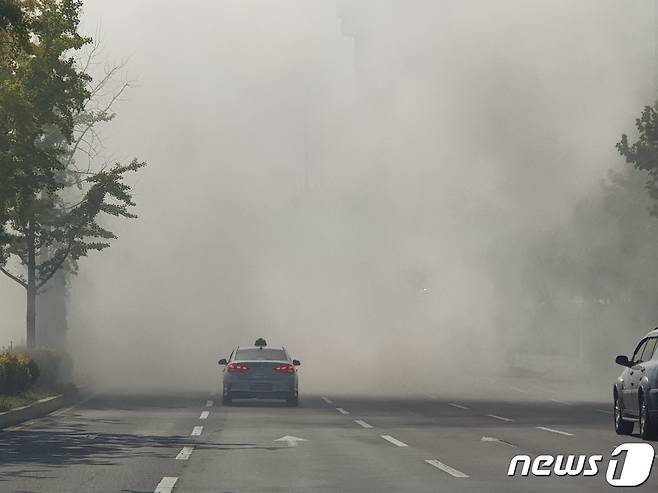 (독자 제공) © 뉴스1