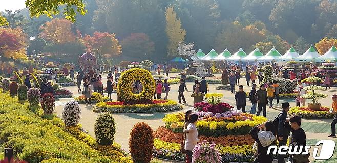 청남대 '국화 사랑, 소방 그리고 행복' 전시 © 뉴스1