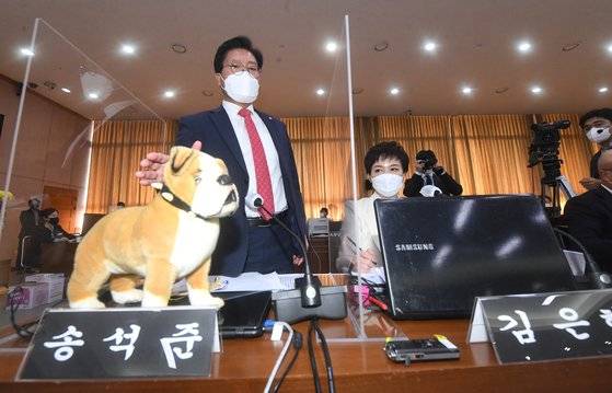 송석준 국민의힘 의원이 20일 경기도 수원시 팔달구 경기도청에서 열린 국회 국토교통위원회의 경기도청에 대한 국정감사에서 대장동 개발을 공공의 탈을 쓴 개발이라고 주장하며 양의 탈을 쓴 개 인형을 만지고 있다. 뉴스1