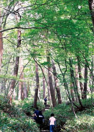 한라산 영실코스