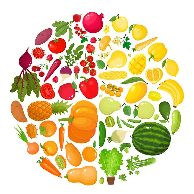 다양한 색의 채소와 과일. 게티이미지뱅크