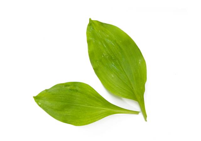 산마늘은 육류, 특히 돼지고기와 궁합이 좋은 채소다./사진=헬스조선DB