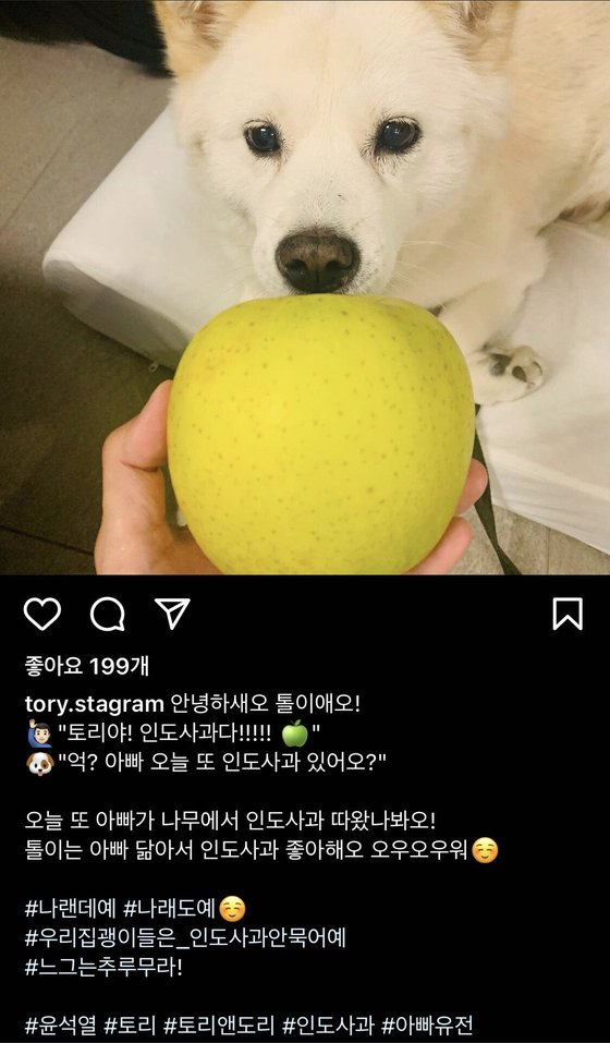 윤석열 전 총장의 인스타그램에 올라온 먹는 사과 사진. [인스타그램 캡처]