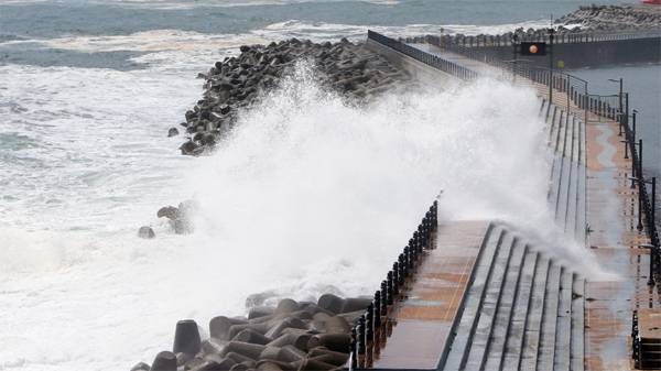 지난 8월 동해상에 높은 파도가 일어 피서객과 관광객의 해변 출입이 통제된 속초항 방파제에 거센 파도가 몰아치고 있다. [사진 출처 = 연합뉴스]