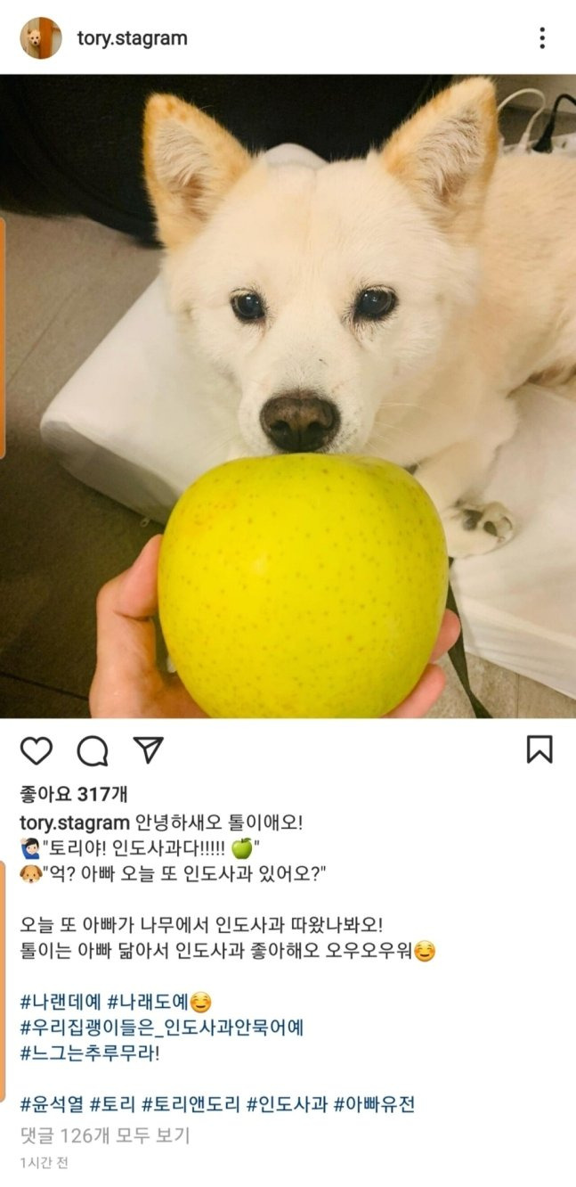 /사진제공=윤석열 전 검찰총장 반려견 '토리' 인스타그램