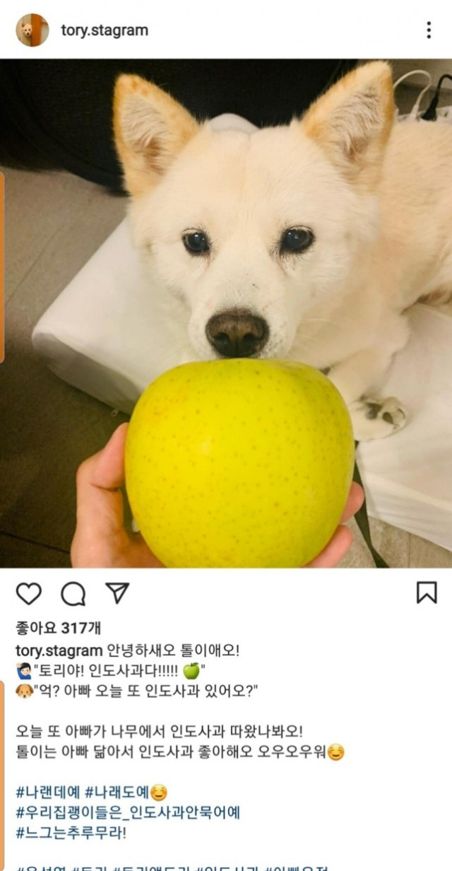 /인스타그램 캡쳐