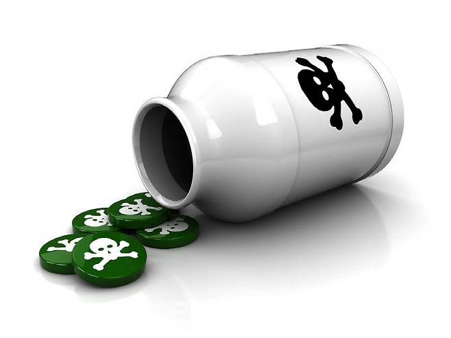 (사진=이미지투데이)