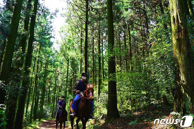 포레스트 승마. 디스커버제주 제공