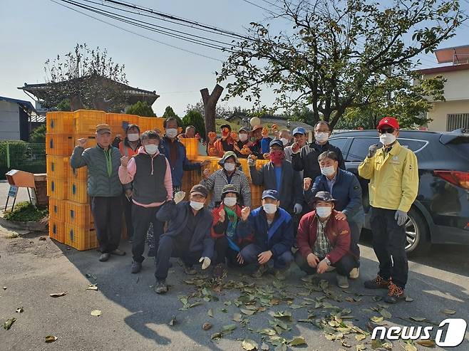 충북 영동군 양강면 이장협의회가 감따기를 마치고 기념 사진을 찍고 있다. (영동군 제공) © 뉴스1