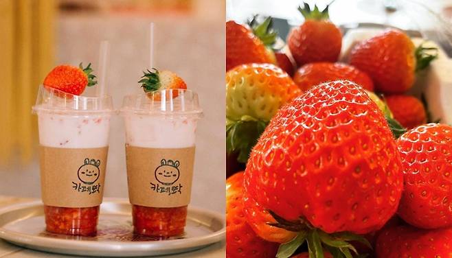 카페토닥 인스타그램