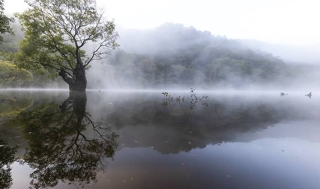 핸드폰사진관/ 주산지
