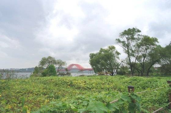 대덕생태공원 전경. 고양시