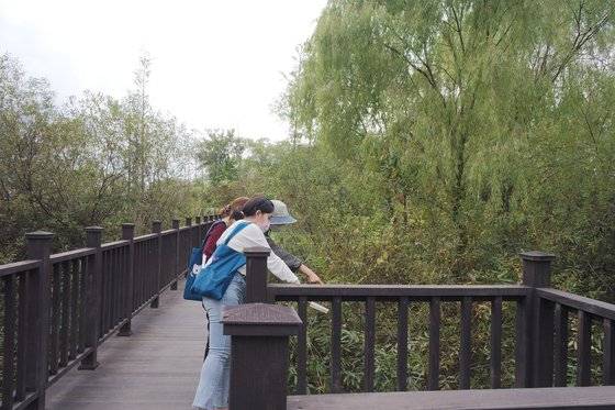 대덕생태공원 말똥게다리. 고양시