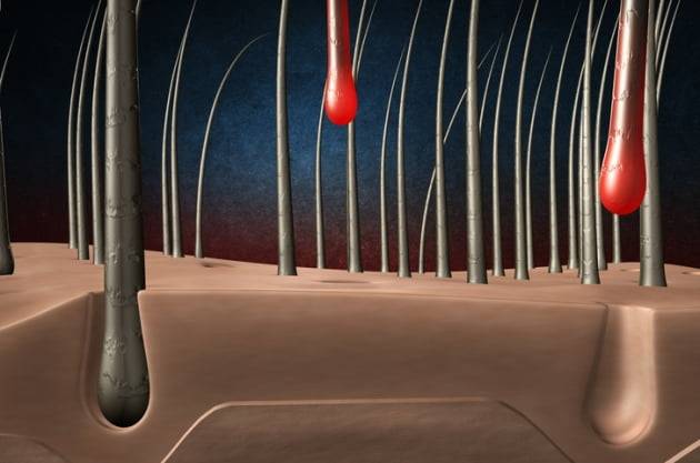 사진=게티이미지뱅크