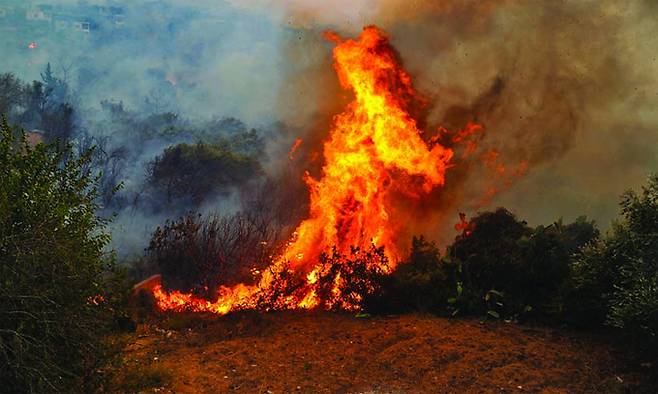 사진=AFP연합뉴스