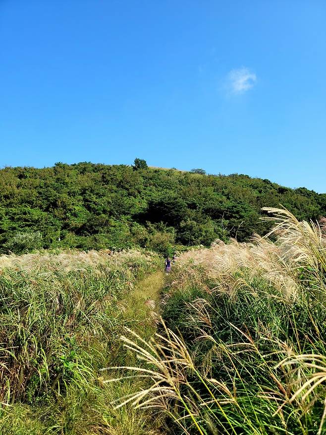 아끈다랑쉬오름 가는 길