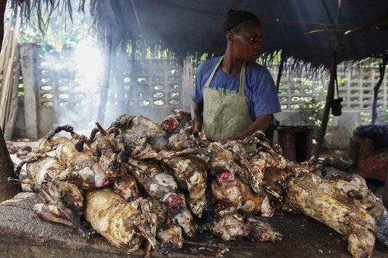 지난해 6월 나이지리아 라고스의 재래시장에서 한 여성이 판매할 야생 동물 고기를 굽고 있다. 수세기 동안 서아프리카 전역에서는 '부시미트'라는 전통 문화로 간주돼 야생 동물 고기가 거래되어 왔으나, 세계동물보호단체는 야생 동물을 보호하고 전염병을 예방하기 위해 모든 야생동물 거래를 중단할 것을 촉구하고 있다. EPA=연합뉴스
