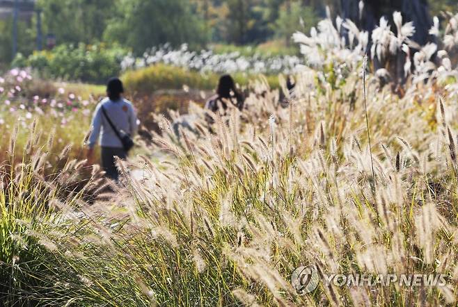 가을 산책 [연합뉴스 자료사진]