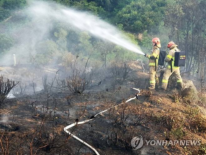 산불 진화하는 소방대원들 (홍성=연합뉴스) 지난 8월 부여의 한 야산에서 발생한 산불.
    소방본부는 자체 개발한 소방호스 배낭을 사용해 산불 현장 깊숙이 들어가 진압 시간을 단축할 수 있었다. 2021.8.19   [충남소방본부 제공. 재판매 및 DB 금지] youngs@yna.co.kr