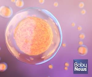 '단일 배아 이식' 성공률 높이는 법은? ⓒ대구마리아병원