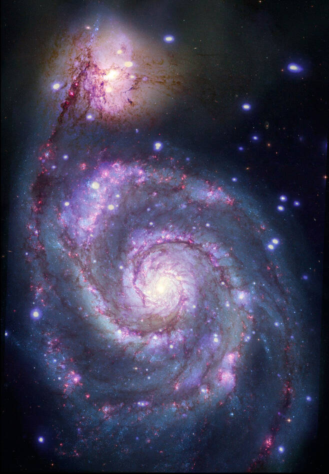 찬드라 엑스선 관측소의 관측 데이터로 만들어낸 나선은하 M51의 모습.(사진=NASA/CXC/SAO/R. DiStefano, et al.; Optical: NASA/ESA/STScI/Grendler)