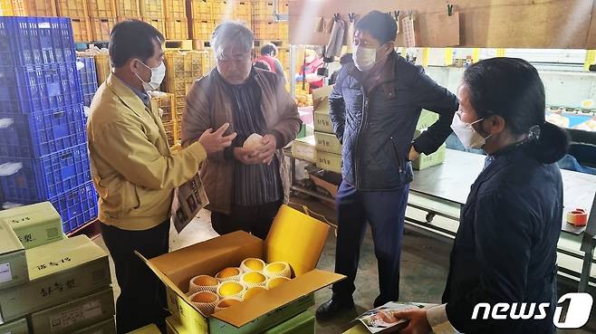 이재승 나주시농업기술센터소장이 추황배 수확농가를 찾아 분류작업을 점검하고 있다. © News1