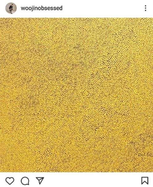현우진 인스타그램. 쿠사마의 작품 ‘Gold-Sky-Nets’를 올렸다. 인터넷 캡처