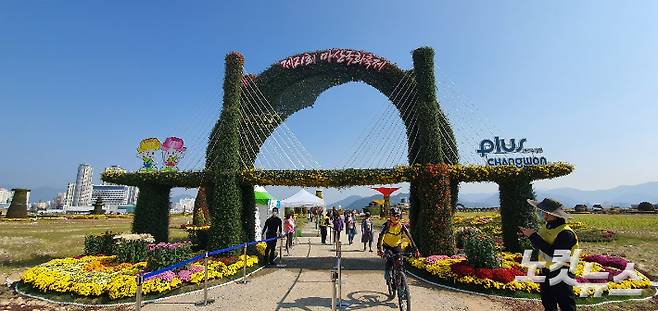 27일 개막한 마산국화축제. 이상현 기자