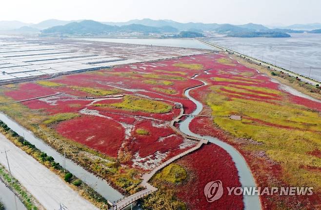 전남 신안 갯벌의 가을 [연합뉴스 자료사진. 재판매 및 DB 금지]