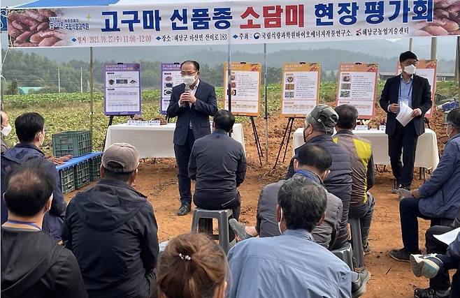 소담미 평가회 [해남군 제공·재판매 및 DB 금지]