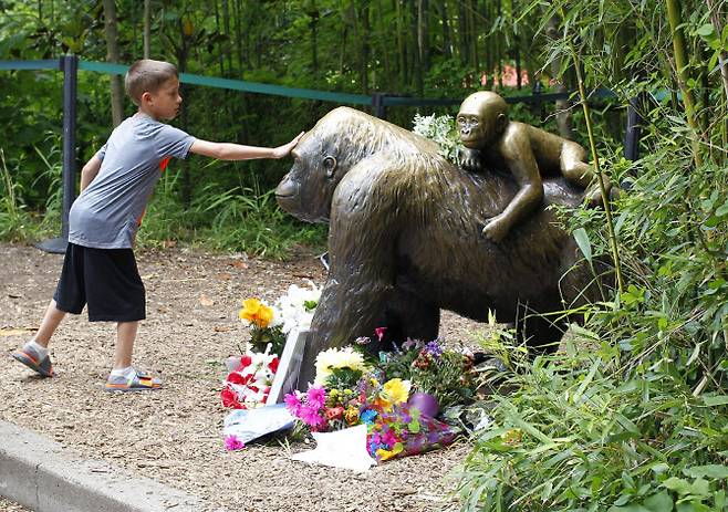 미 오하이오 신시내티에서 동물원 방문객들은 하람베 동상 앞에 추모의 꽃을 두고 갔다. (사진= AFP)