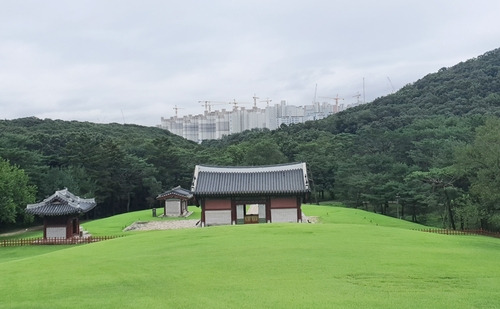 경기도 김포시 장릉에서 건너다 보이는 검단신도시의 아파트단지. /사진제공=문화재청