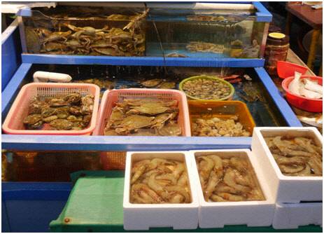 한국간편결제원 제공