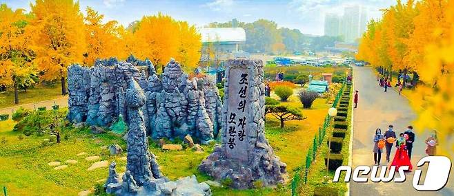 (평양 노동신문=뉴스1) = 북한 조선노동당 기관지 노동신문은 31일 '수도 평양의 이채로운 가을풍경'이란 제목으로 관련 사진 여러 장을 실었다. [국내에서만 사용가능. 재배포 금지. DB 금지. For Use Only in the Republic of Korea. Redistribution Prohibited] rodongphoto@news1.kr