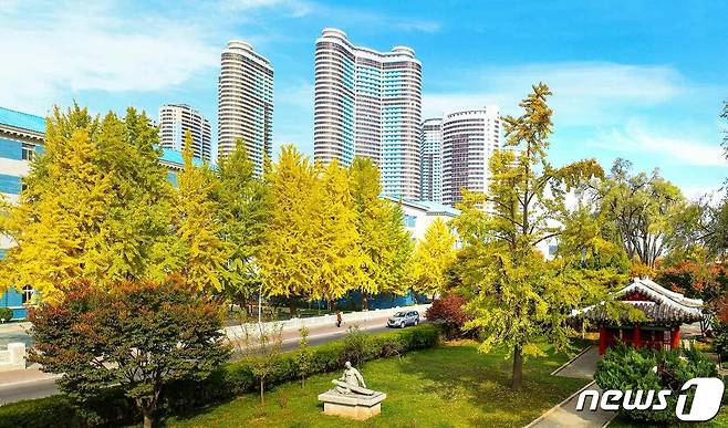 (평양 노동신문=뉴스1) = 북한 조선노동당 기관지 노동신문은 31일 '수도 평양의 이채로운 가을풍경'이란제목으로 관련 사진 여러 장을 실었다.  [국내에서만 사용가능. 재배포 금지. DB 금지. For Use Only in the Republic of Korea. Redistribution Prohibited] rodongphoto@news1.kr