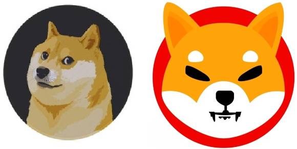 도지코인 이미지(왼쪽)과 시바이누토큰 이미지. [사진=코인마켓캡]