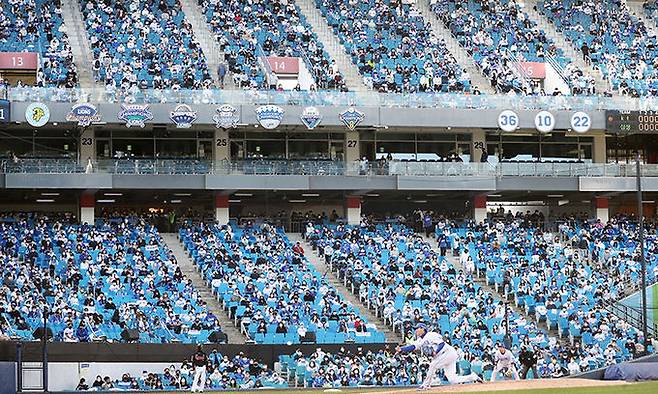 지난달 31일 오후 대구 삼성라이온즈파크에서 열린 프로야구 2021 신한은행 쏠(SOL) KBO 정규시즌 1위 결정전 kt wiz와 삼성 라이온즈의 경기. 관중들이 힘찬 응원을 하고 있다. 연합뉴스