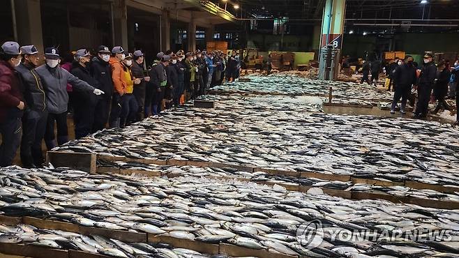 부산공동어시장 위판 현장 [부산공동어시장 제공]